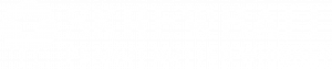 FY24_Skrewball_Secondary Logo_Horizontal_2 Color_Rev