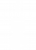 Fiddler_rev