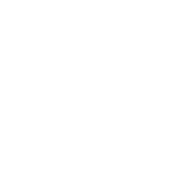 Iron-Smoke-Distillery-Skully-and-Text-Logo-White (1)