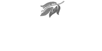 allagash-brewing-company-800x400-1 copy